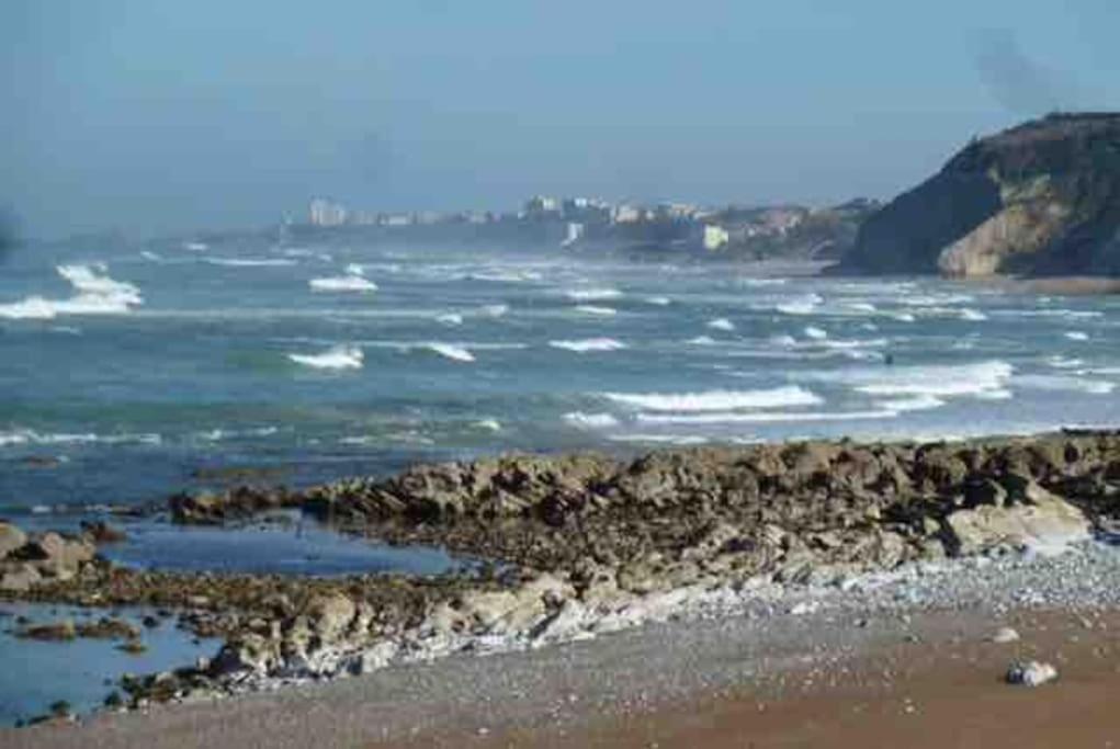Bidart Cote Basque T3 250 Metres De La Plage 3*** Lägenhet Exteriör bild